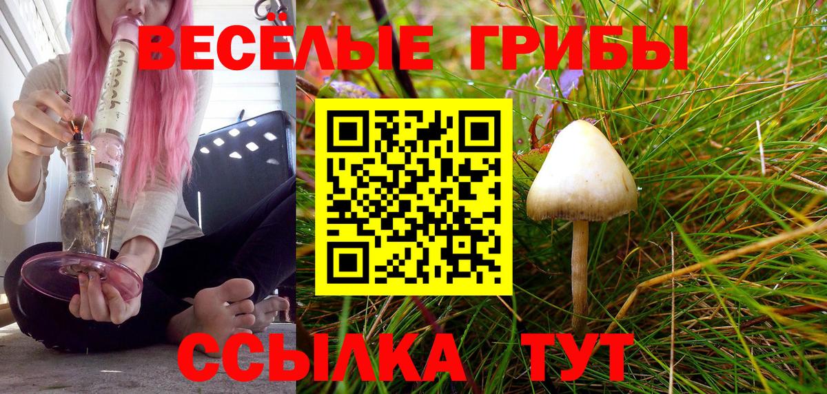 Псилоцибиновые грибы GOLDEN TEACHER  Псилоцибиновые грибы MAGIC MUSHROOMS  Белогорск  Вход с VPN 